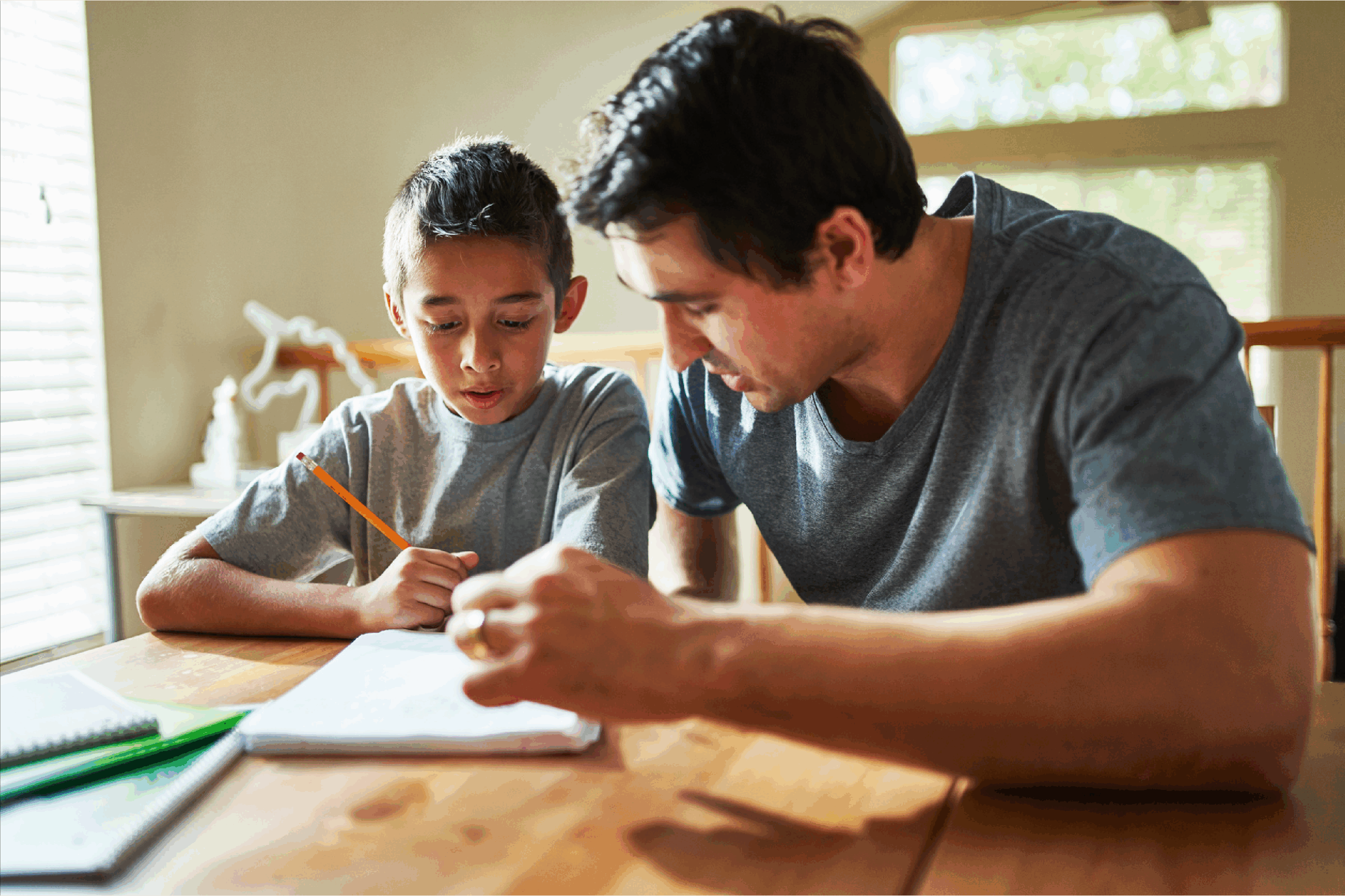 foster parenting requirements