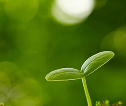 Substance Use Treatment Group