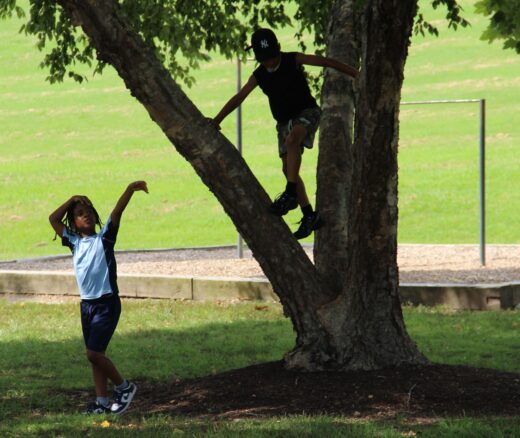 dad2dads-stroller-walk-8